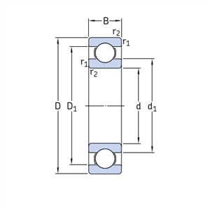 SKF 6010 Single Row Deep Groove Ball Bearing